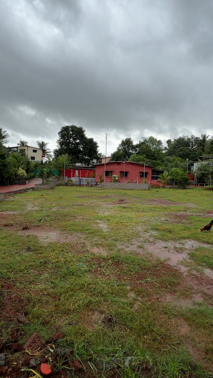 Lush green lawn in front of the red farmhouse under monsoon clouds
