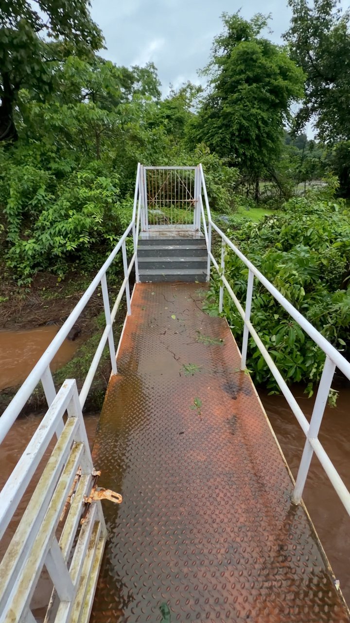 Metal bridge crossing a flowing stream surrounded by dense trees